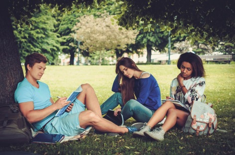 Students Studying